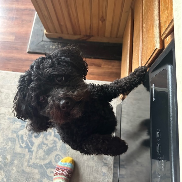 Share show - Picture 13 of 14